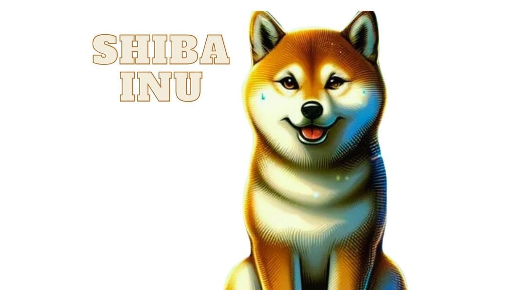 Shiba Inu dog