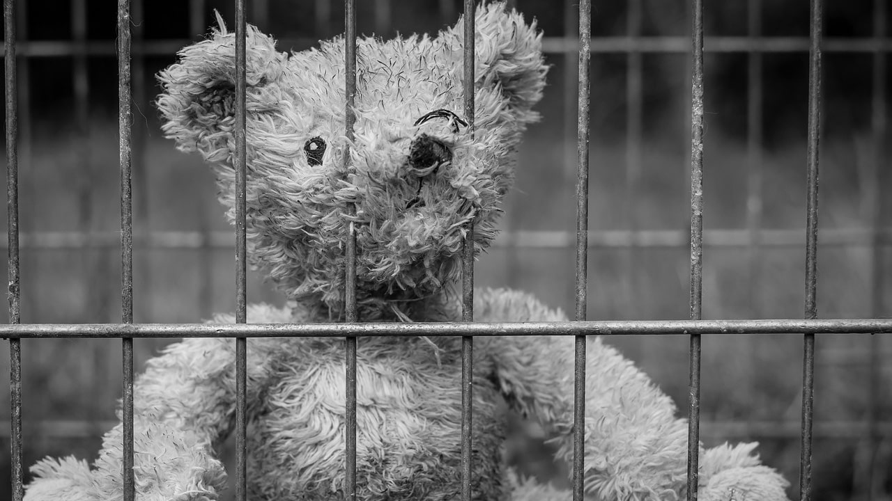 teddy bear in prison