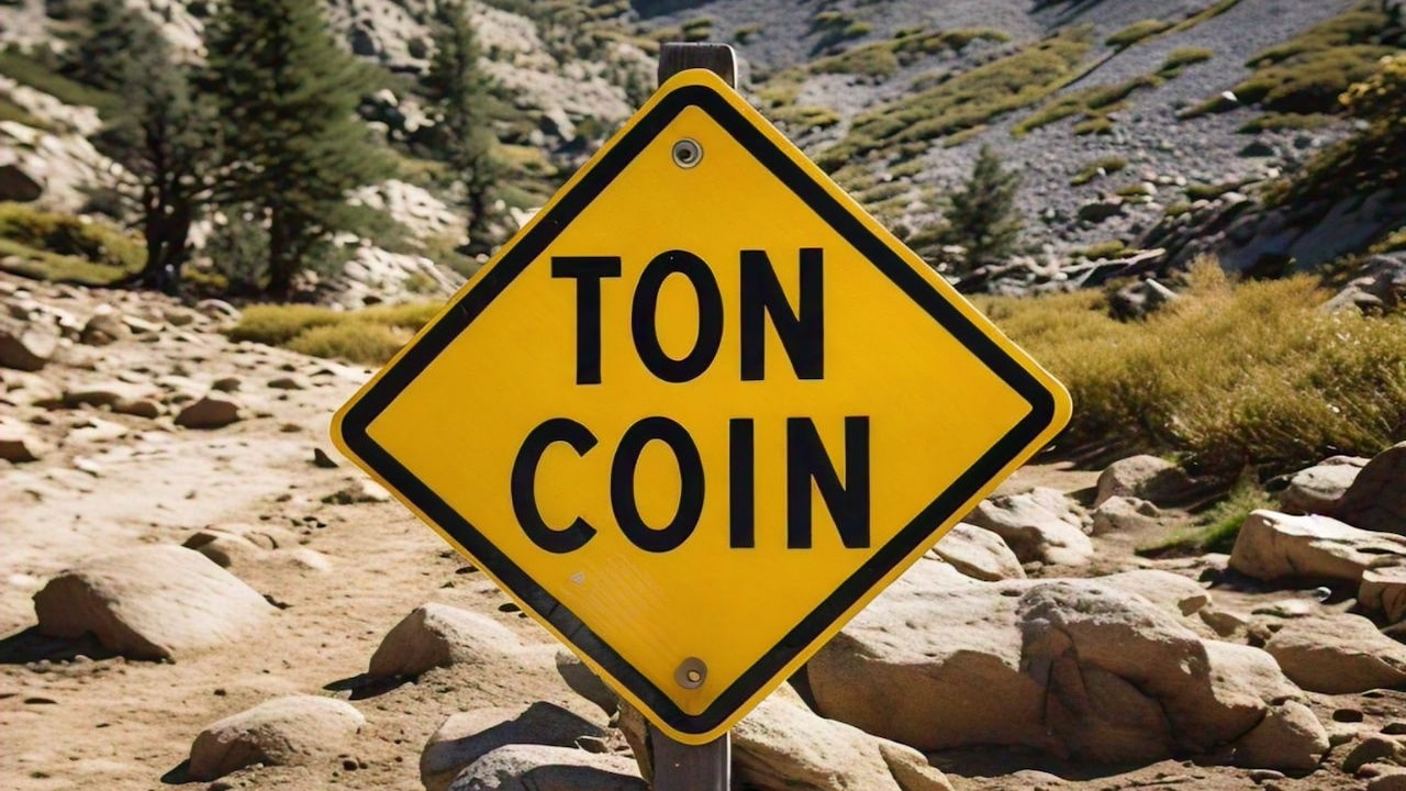 TON coin