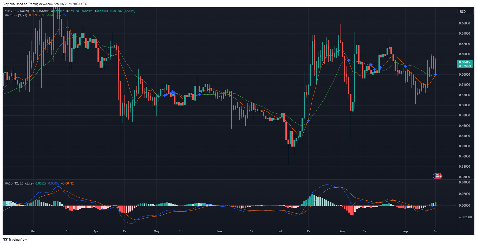 Xrp Rebounds Off $0.55. This Indicator Show Its Next Direction