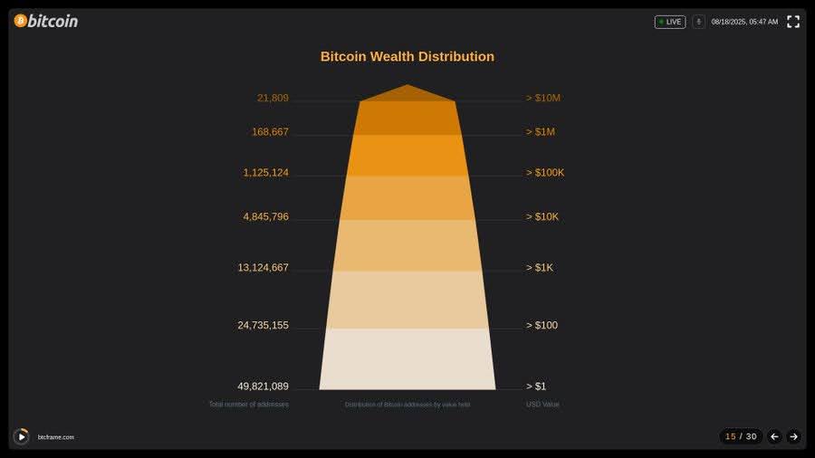 Bitcoin Wealth Distribution Chart