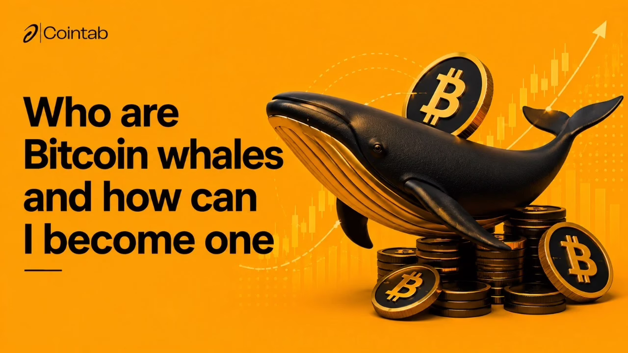 bitcoin-and-whales