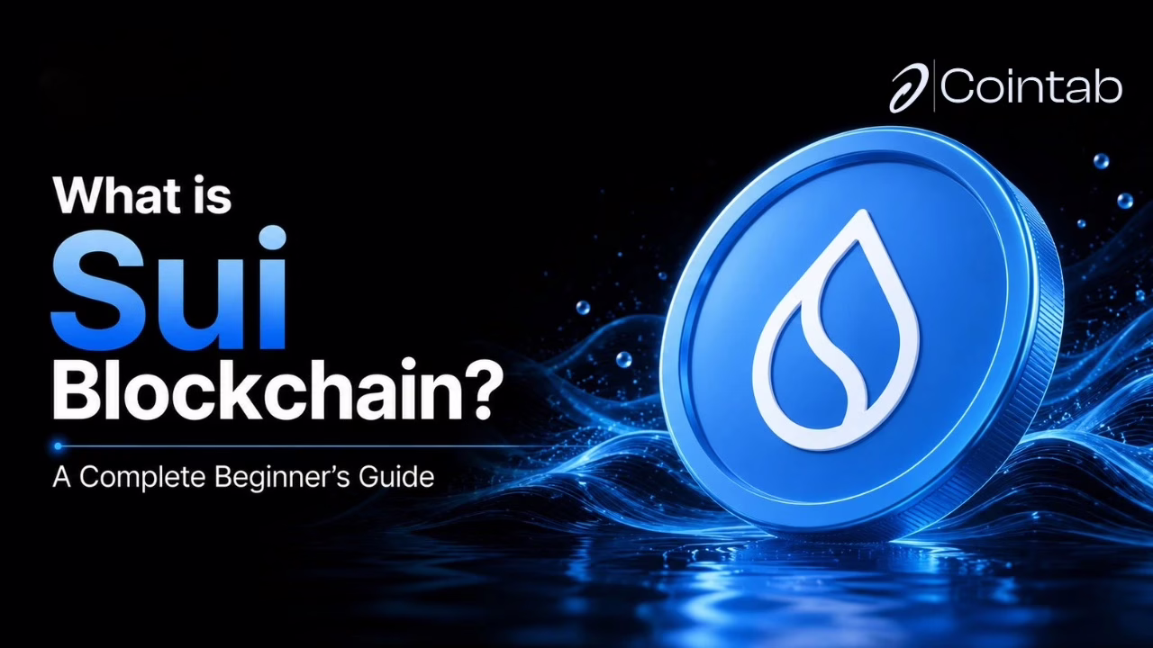 what-is-sui-blockchain-with-sui-logo